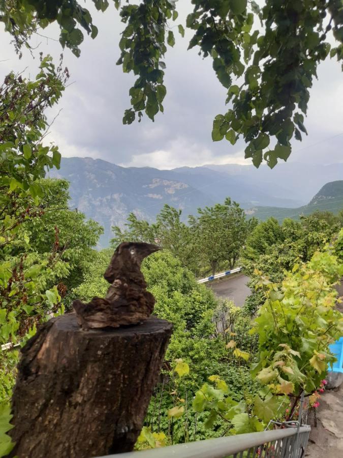 Igor * Halidzor